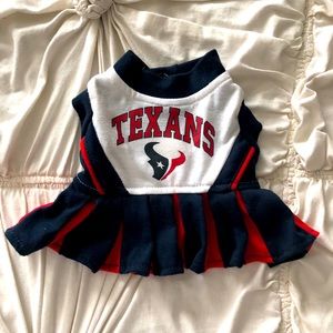 Texans cheerleader outfit for Yorkshire terrier